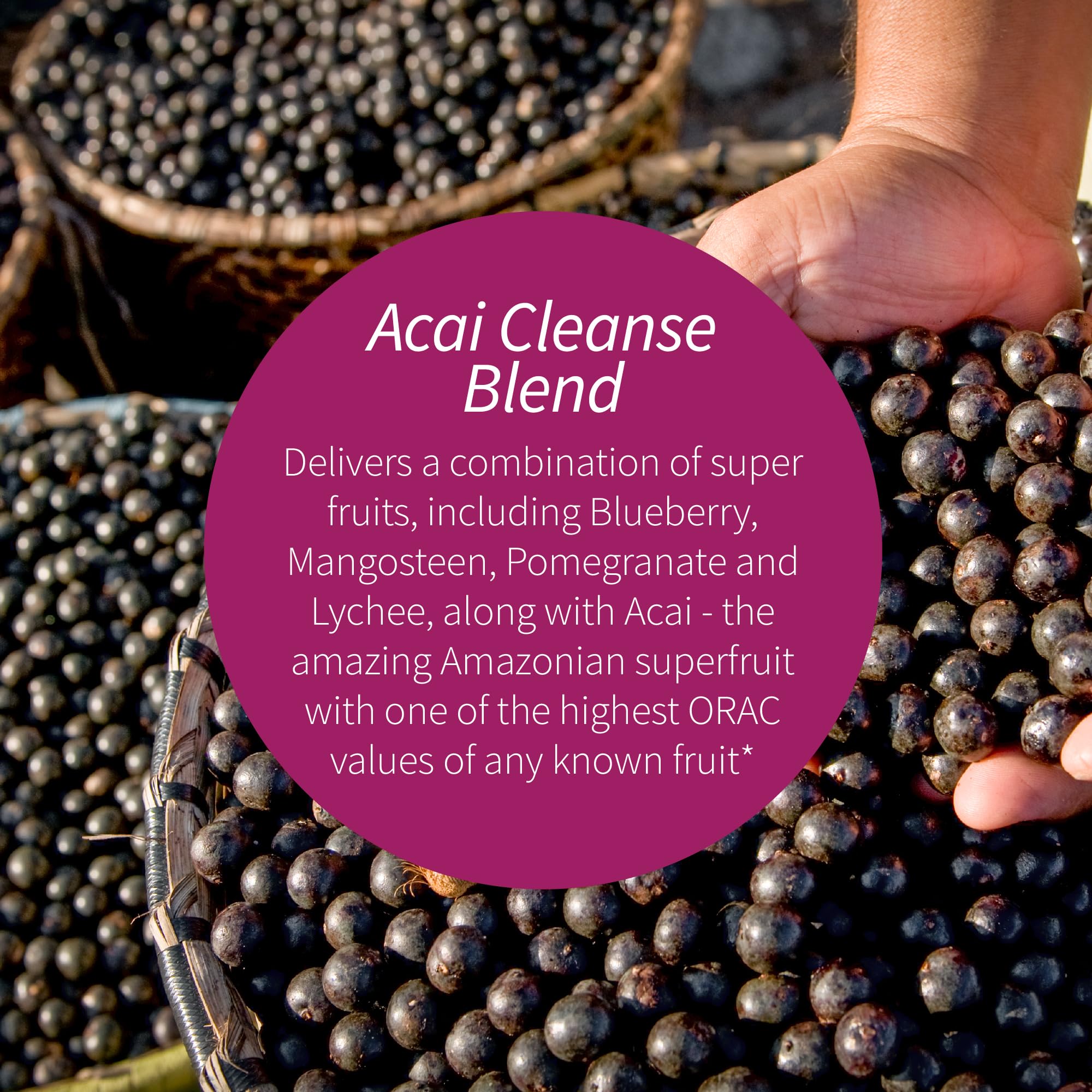 Applied Nutrition Acai Cleanse bottle close-up highlighting capsules for daily use.