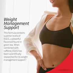 Applied Nutrition Green Tea Fat Burner antioxidant blend with super fruits.