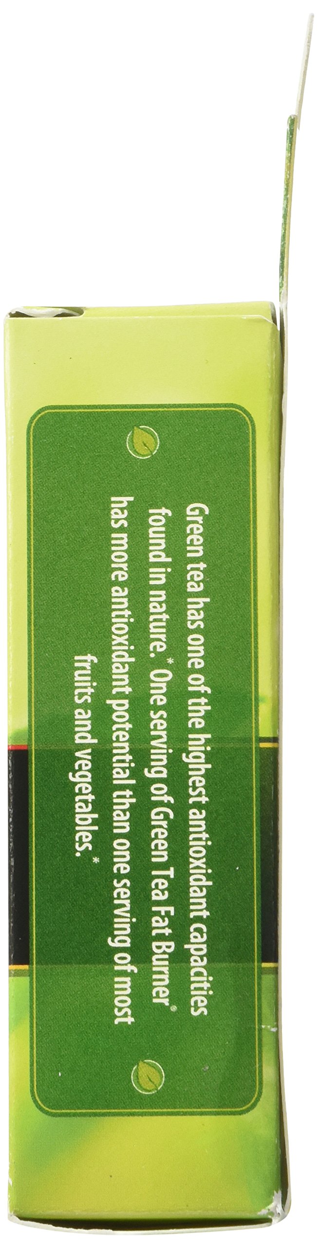 Applied Nutrition Green Tea Fat Burner green coffee bean ingredient boosts natural energy