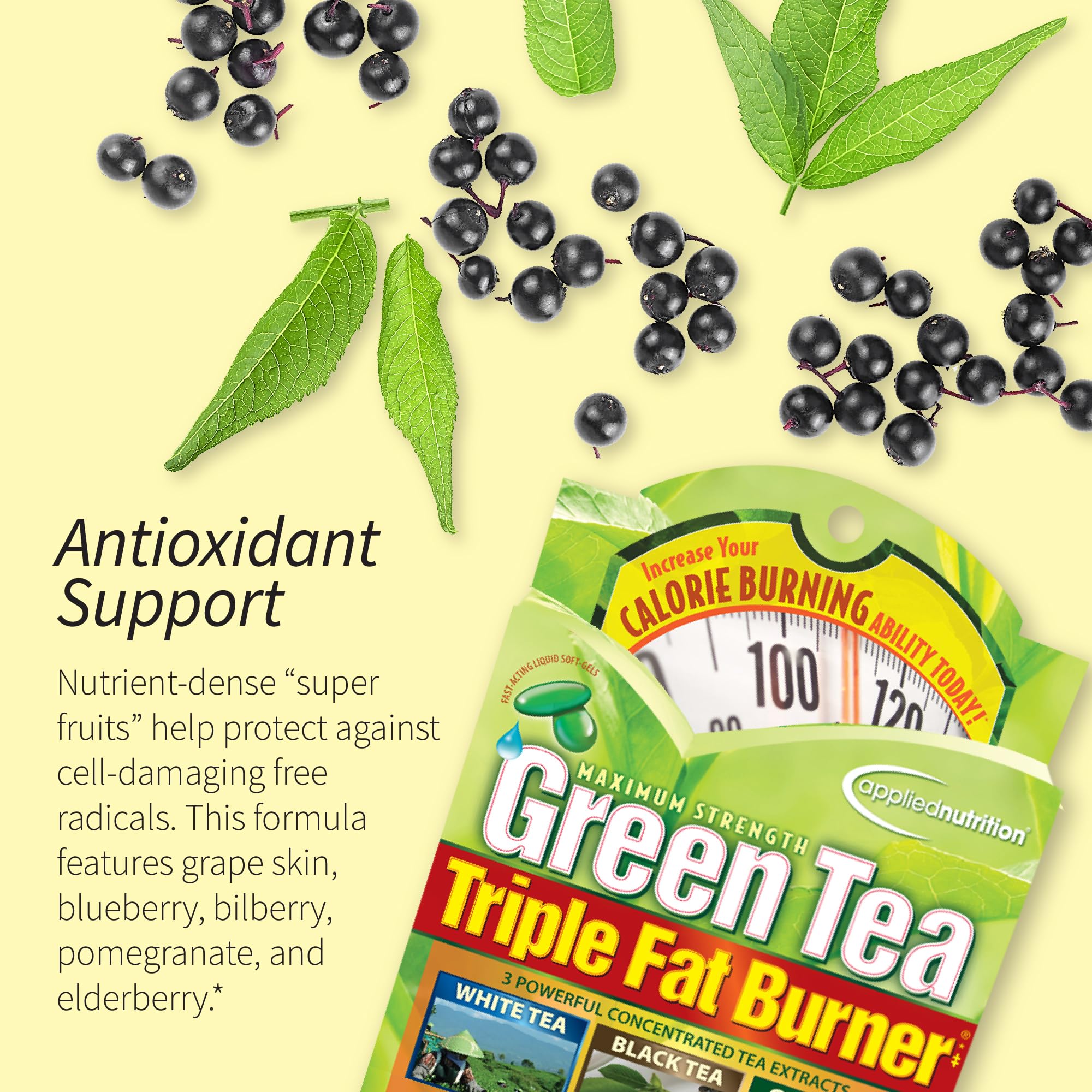 Applied Nutrition Green Tea Fat Burner super-fruit blend supports antioxidant defense