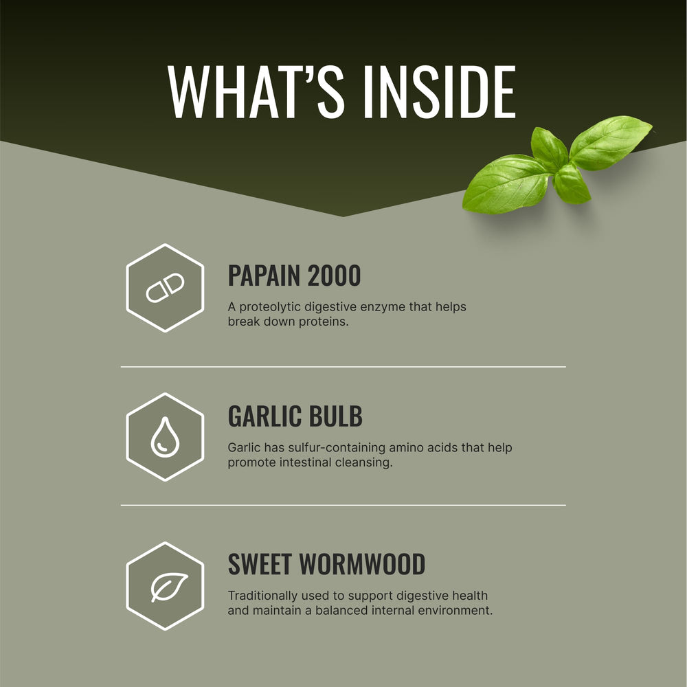 Parastrin capsules closeup highlighting convenient vegan capsules for daily use