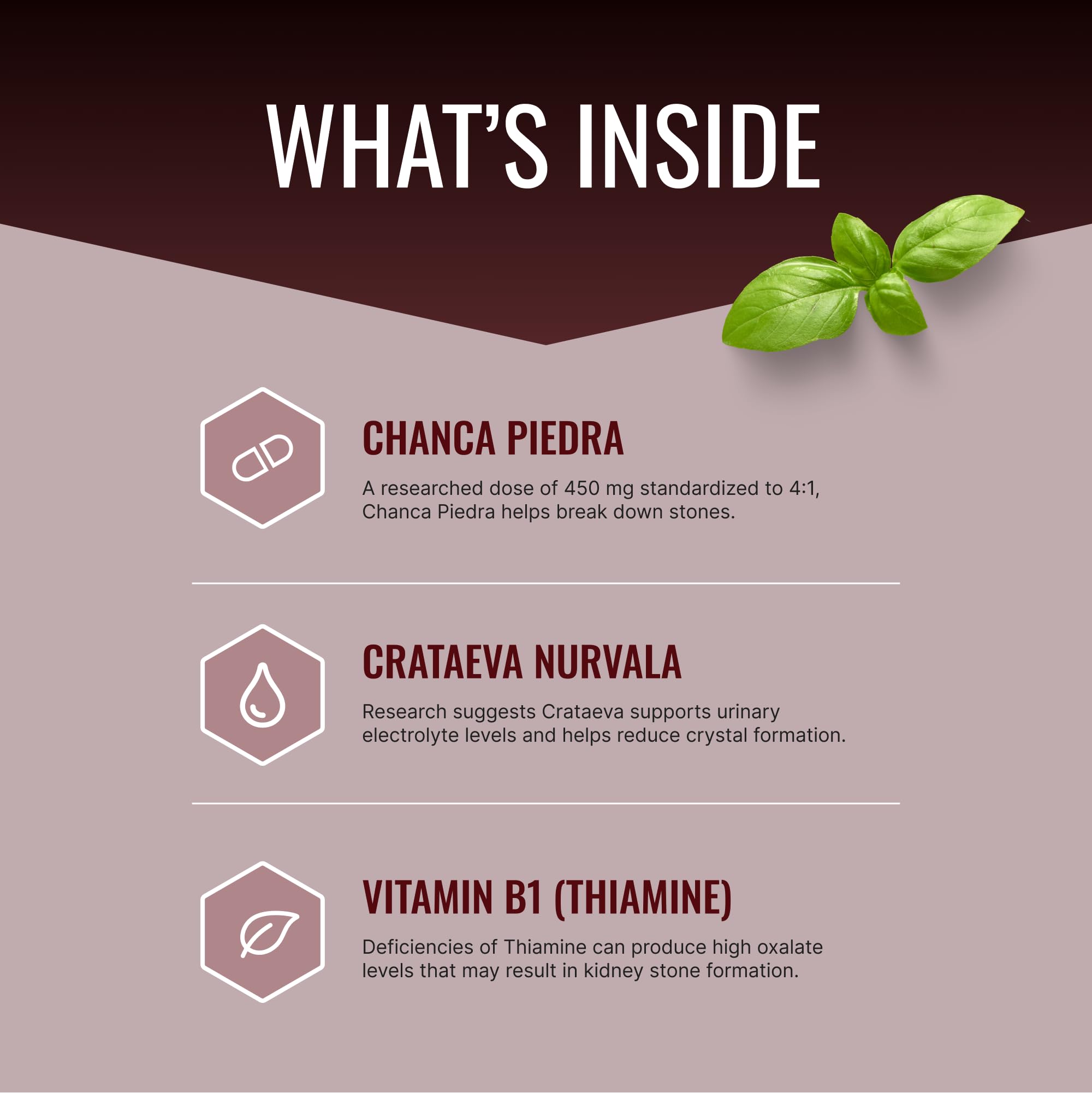 Approved Science Stonexyl capsules close-up highlighting vegan formula.