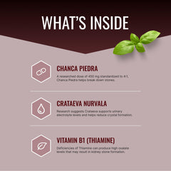Approved Science Stonexyl capsules close-up highlighting vegan formula.