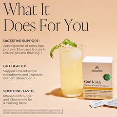 Stirring Arbonne Gut Health drink mix shows quick, convenient daily use.