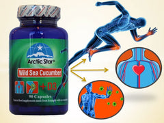Arctic Star wild sea cucumber source image emphasizes Icelandic harvest.