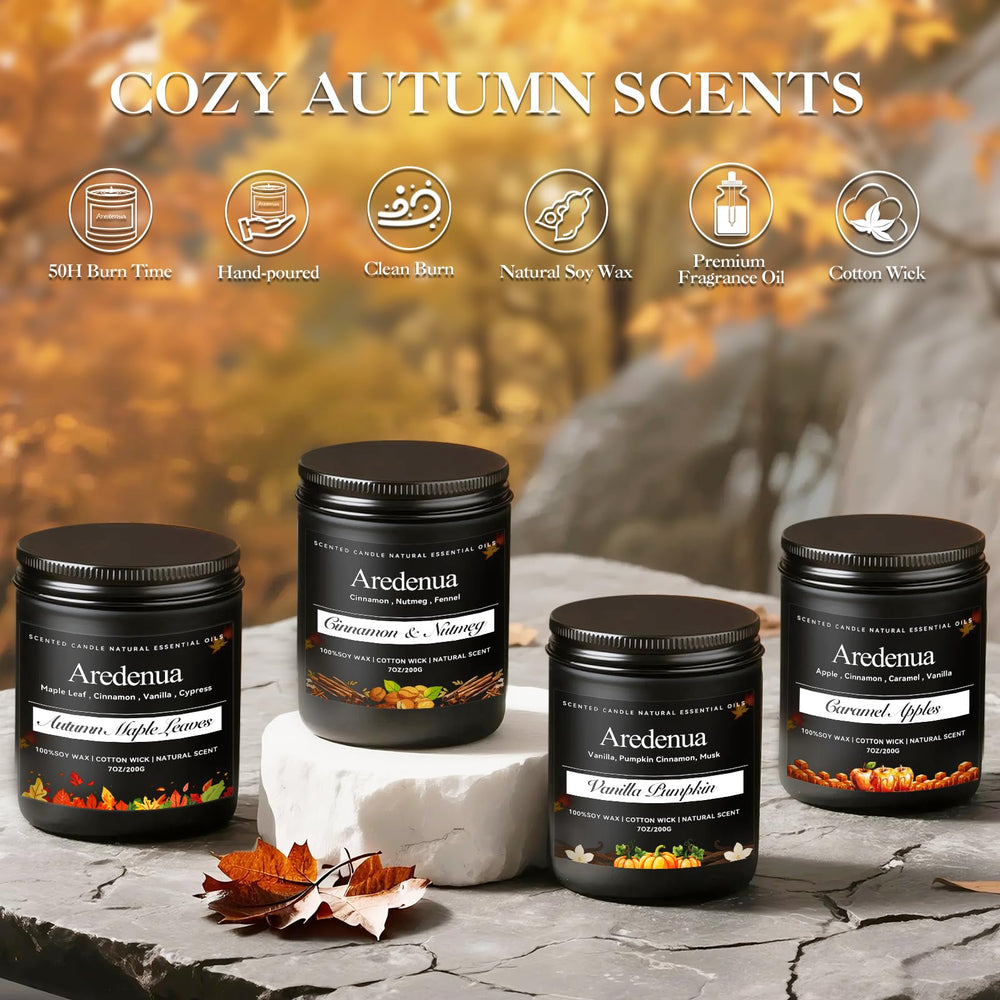 Aredenua Winter Soy candle with a clean burn for long winter nights.