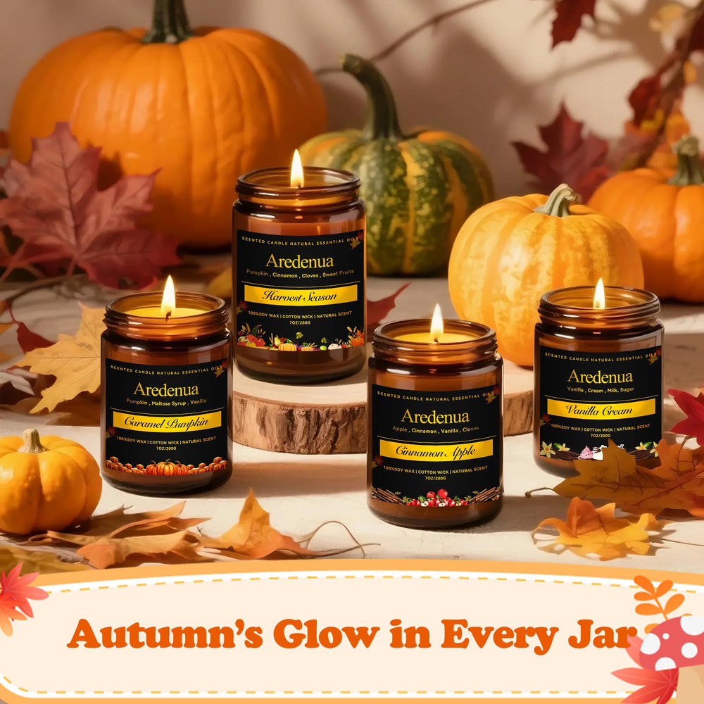 Aredenua holiday gift-ready candle perfect for thoughtful winter gifting.