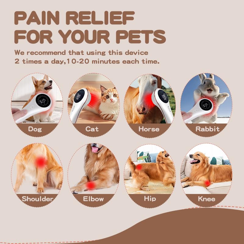 Ariysah red light LLLT for cat wounds and faster recovery.