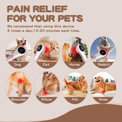 Ariysah red light LLLT for cat wounds and faster recovery.