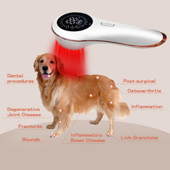 Ariysah red light LLLT for horse joints and comfort support.