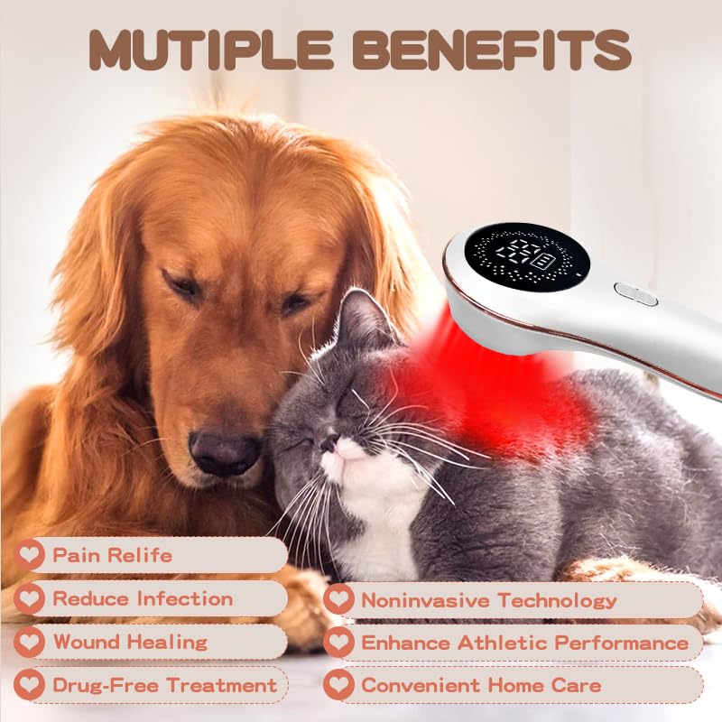 Ariysah red light LLLT near infrared depth therapy for deeper tissue support.