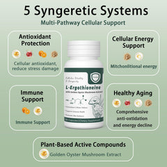 arlistatmax ingredient panel showing science-driven antioxidant profile