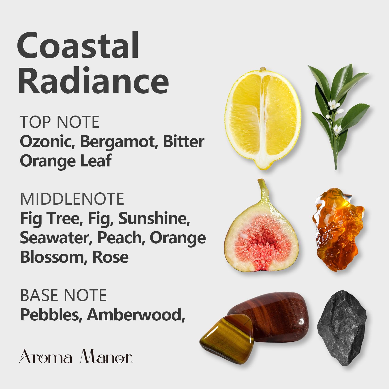 Aroma Manor Coastal Radiance packaging emphasizes purity and premium craftsmanship.