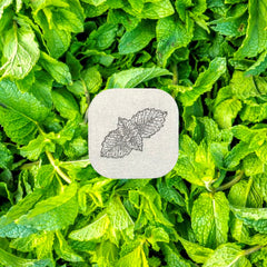 AROMA STICKERS Spearmint patch close-up for quick refreshing scent
