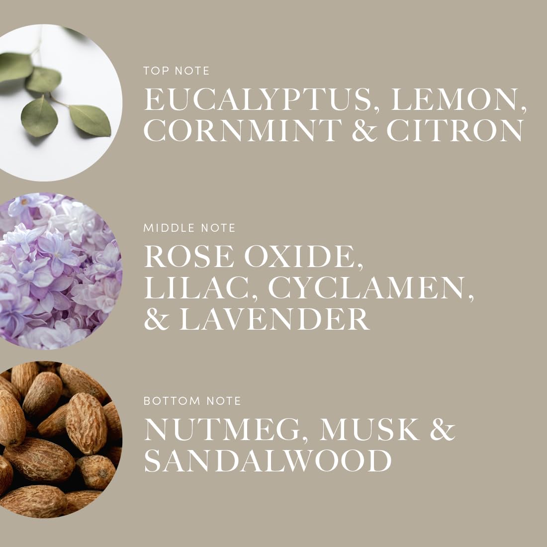 Aroma360 Across the Universe rain-kissed floral closeup highlighting fresh notes
