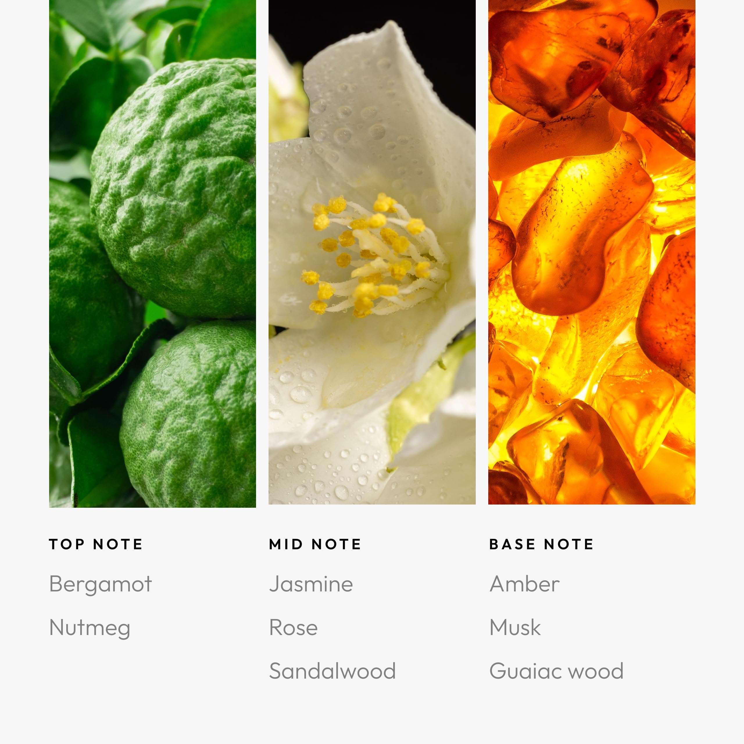 Aroma360 Allure packaging box reflects boutique hotel styling and gift-ready presentation.