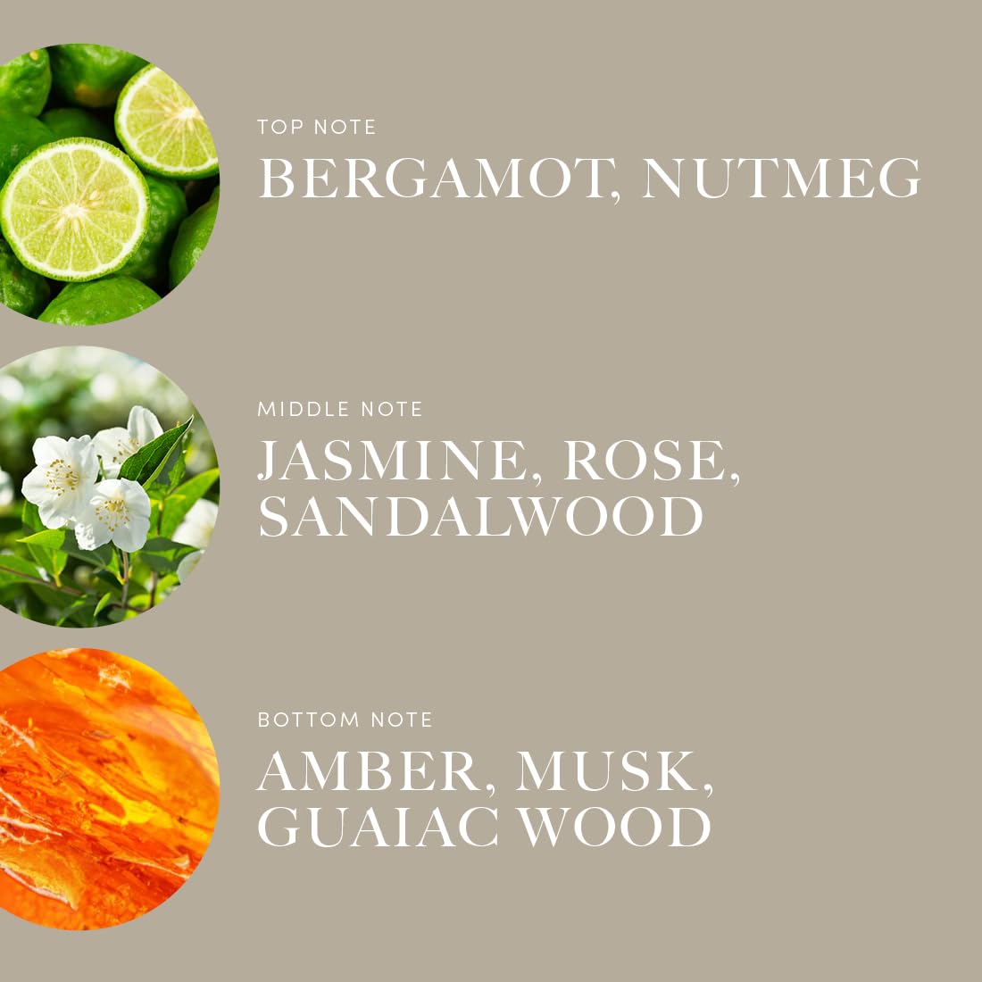 Aroma360 Bergamot-Nutmeg-Jasmine fragrance oil in a diffuser-ready bottle.