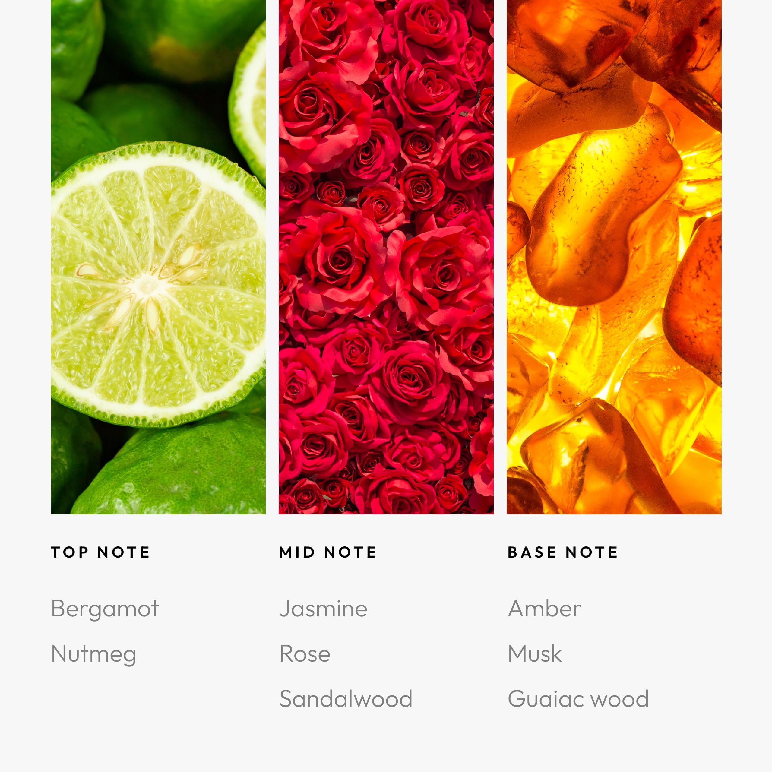 Aroma360 diffuser-ready Sassy Petals oil ready to fill a room with fragrance