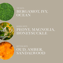 Aroma360 Disney Ariel-inspired packaging showcases premium fragrance for collectors.