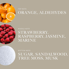 Aroma360 I'm Wishing notes closeup highlight orange, strawberry, sandalwood for vivid detail.