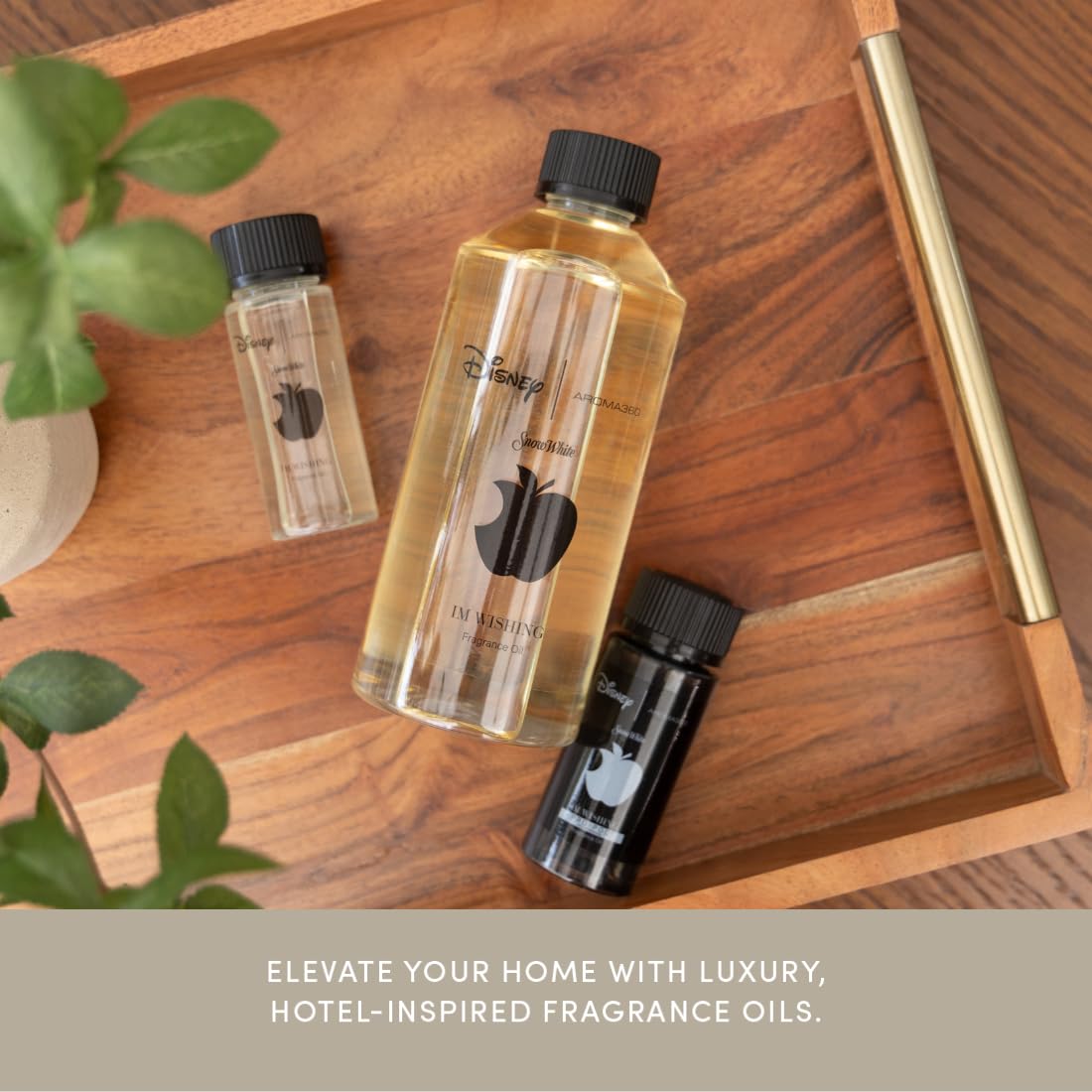 Aroma360 I'm Wishing shelf display suggests a themed décor accent for fans.