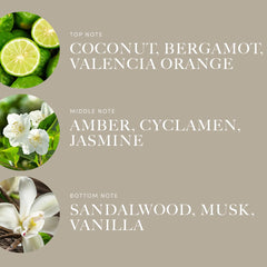 Aroma360 Down in New Orleans top notes graphic displays citrus layers