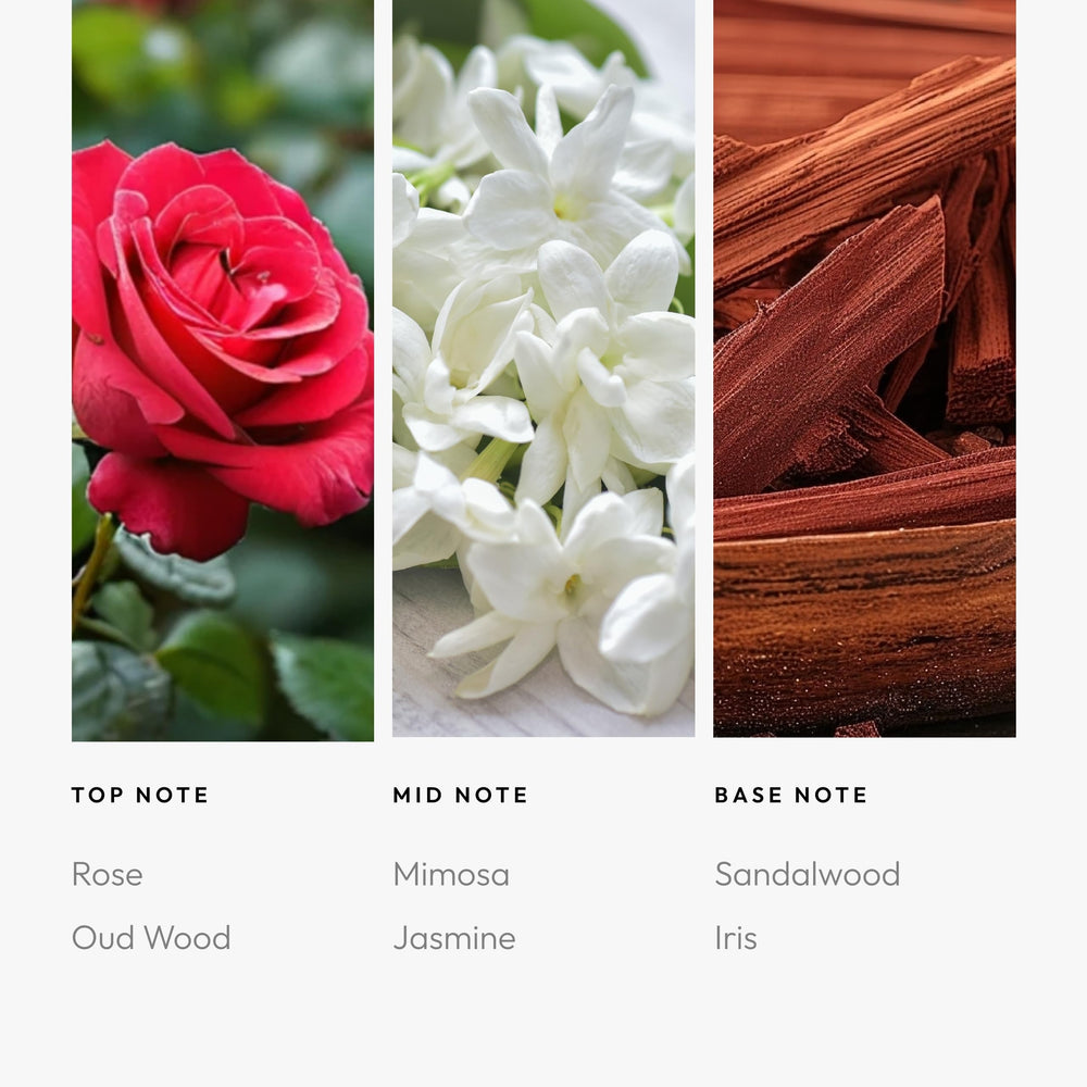 Aroma360 Kiss by a Rose packaging emphasizes luxury presentation.