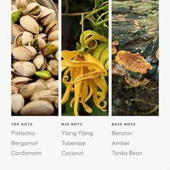 Aroma360 Libra Pro room ambience with soft lighting and refined aroma.