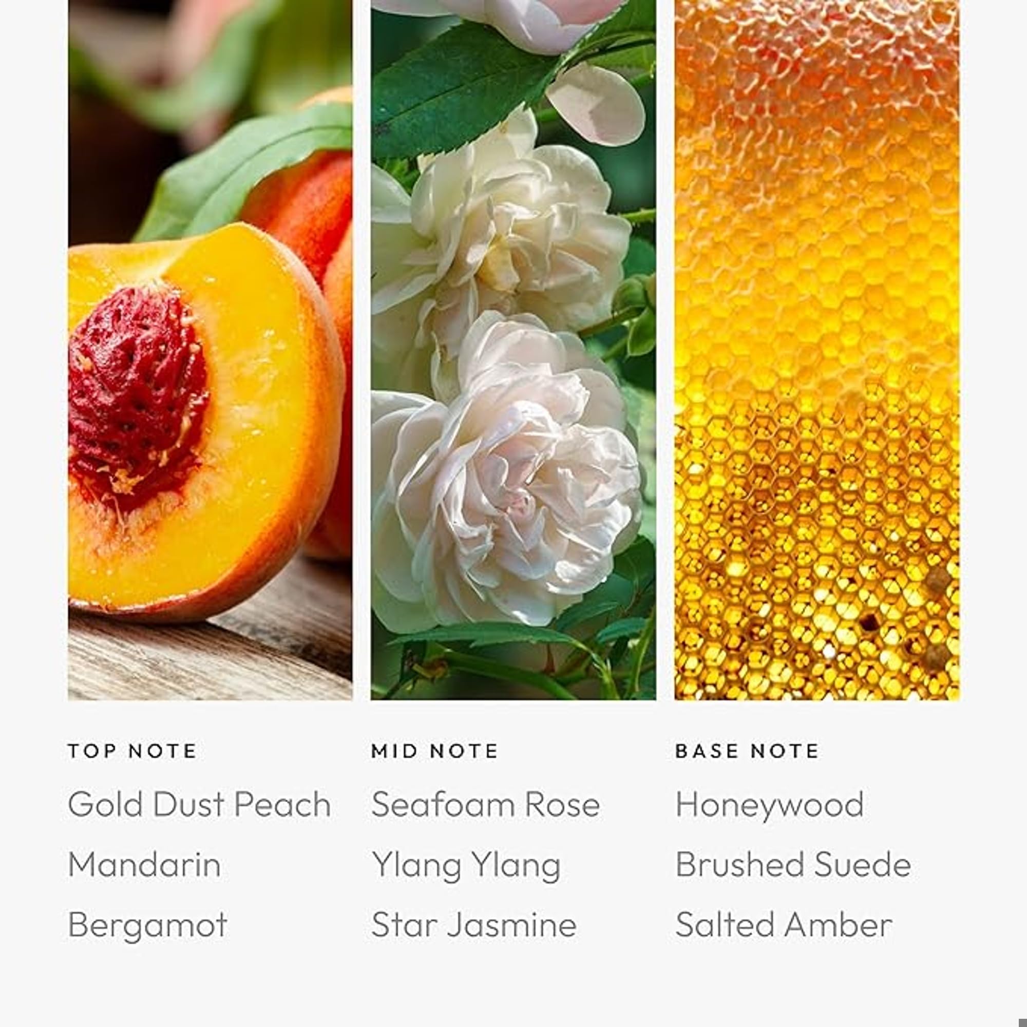 Aroma360 Pro Pod eco-friendly packaging highlights vegan, cruelty-free science