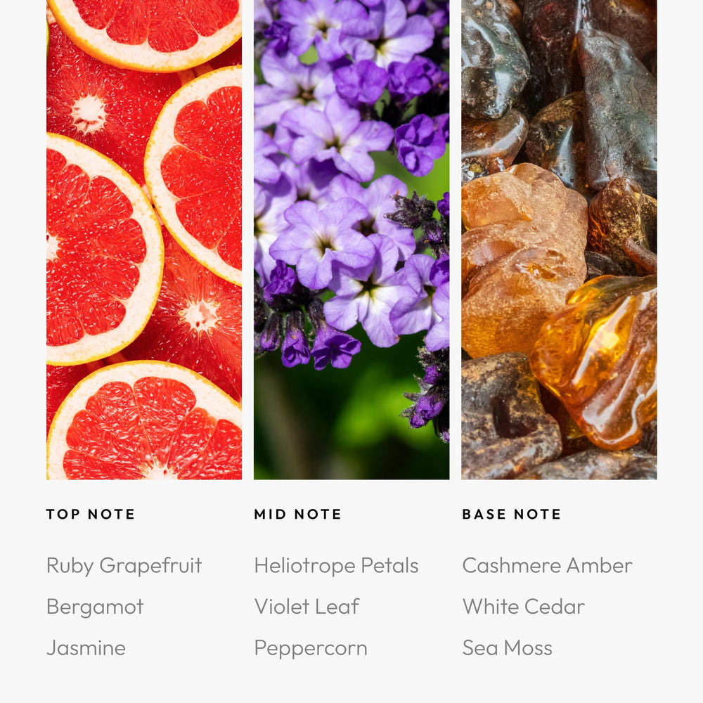 Aroma360 Red Diffuser Oil middle-note close-up with heliotrope petals and violet leaf.