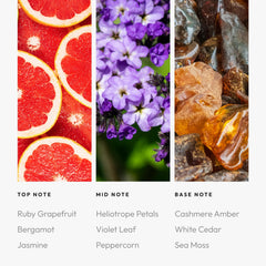 Aroma360 Red Diffuser Oil middle-note close-up with heliotrope petals and violet leaf.