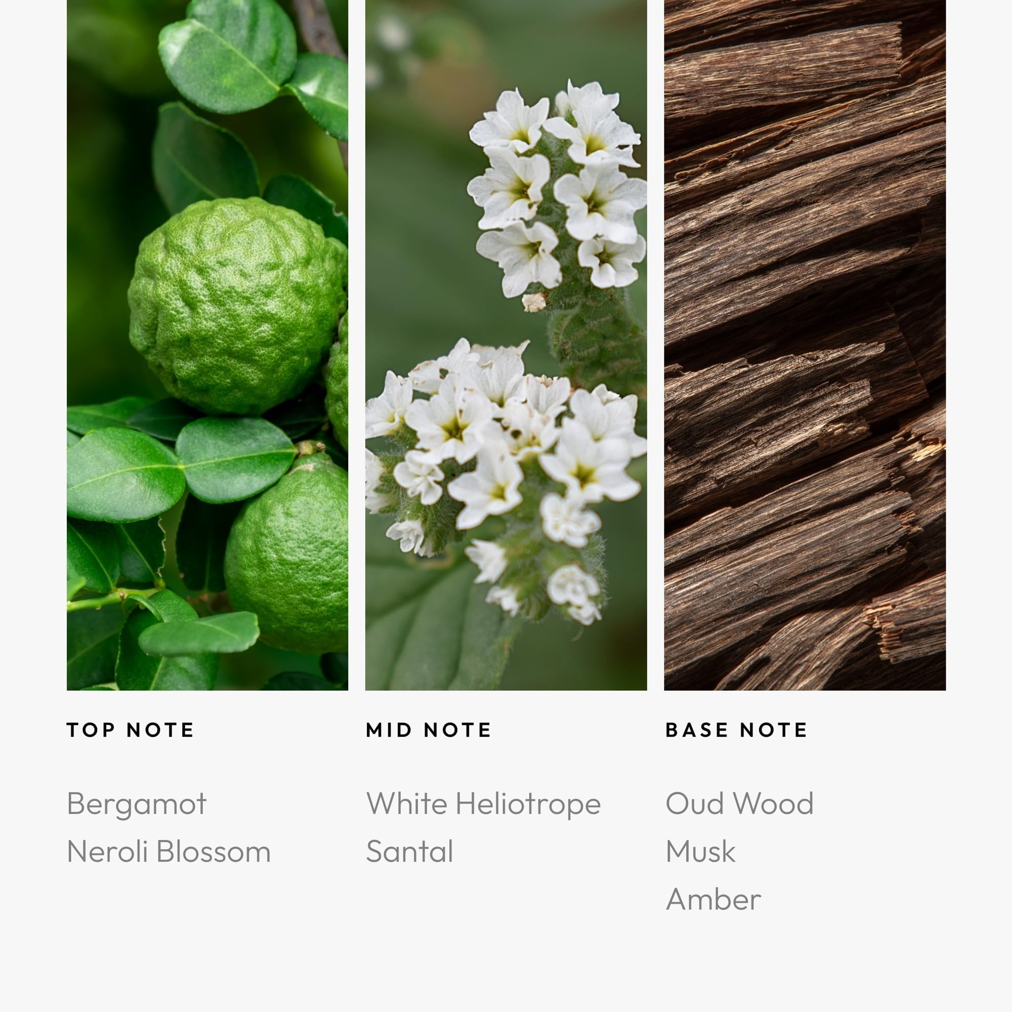 Aroma360 Stargazing eco-friendly packaging highlights sustainable fragrance for home