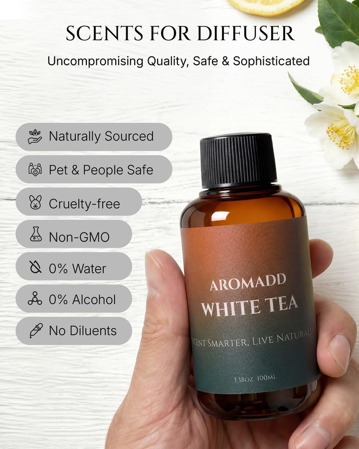 Aromadd diffuser oil in a living room scene delivering layered fragrance in daily spaces