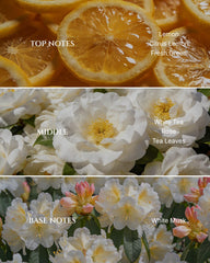 Close-up of Aromadd White Tea Diffuser Oil label highlighting premium aroma notes for refined interiors