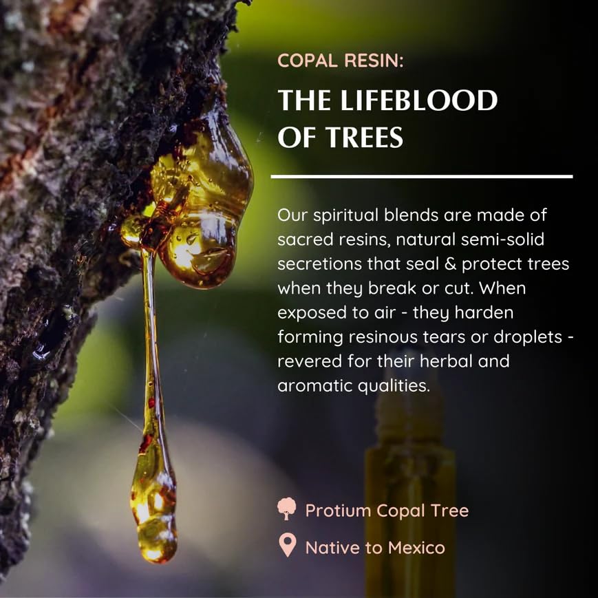 Aromafume Copal packaging emphasizes sustainable, recyclable packaging