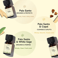 Aromafume Palo Santo & Copal bottle delivers warm, resinous notes for focus.