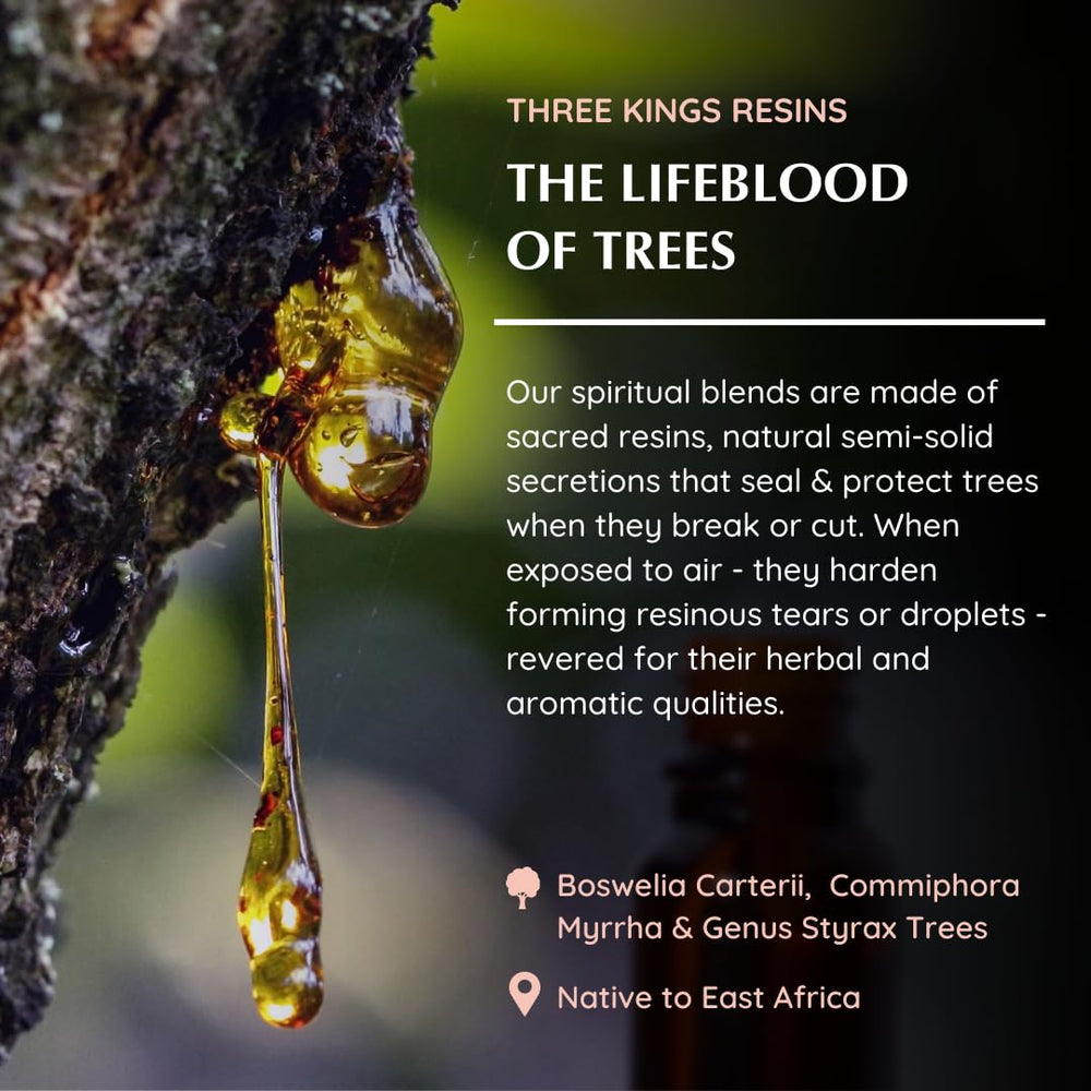 Aromafume Three Kings eco-friendly packaging and branding