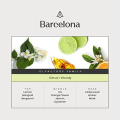 AROMAPLAN notes-lemon-bergamot present a bright, uplifting opening.