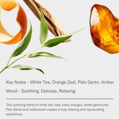 AromaTech White Tea aroma oil in a diffuser setup for calming ambience.