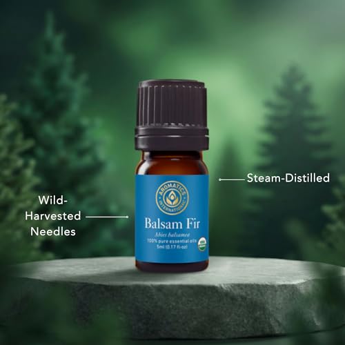 Close-up of Aromatics International balsam fir label, showing organic, small-batch quality.