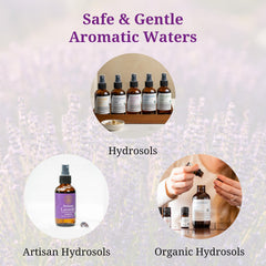 Rose Geranium Hydrosol room refresher creates earthy calm at home.