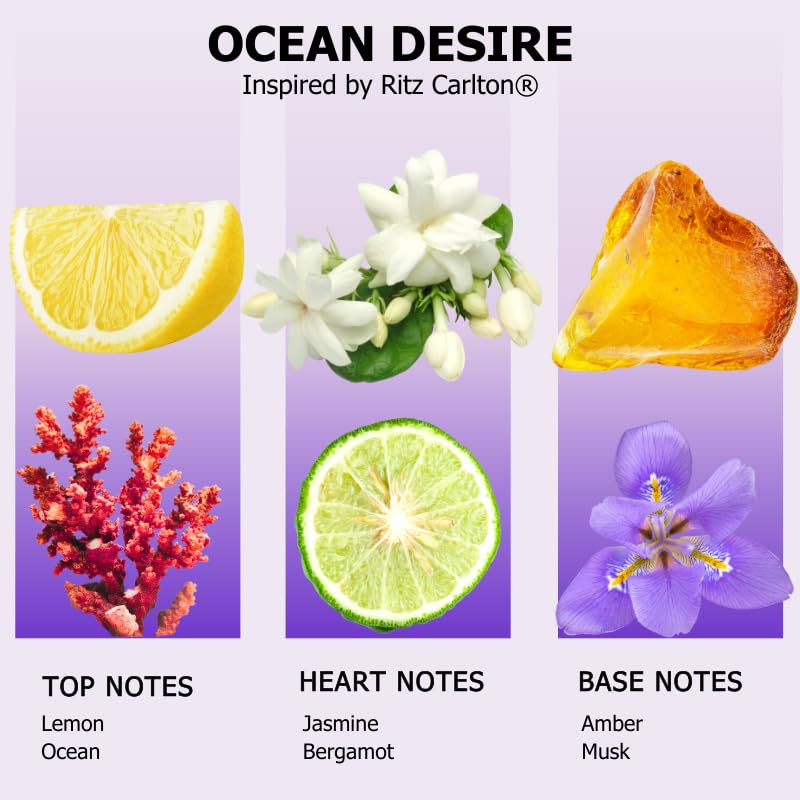 AROMELY Ocean Desire diffuser bottle in a cozy lounge for hotel-like sophistication