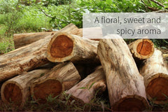 ArOmis Rosewood diffuser scene highlighting calming aroma