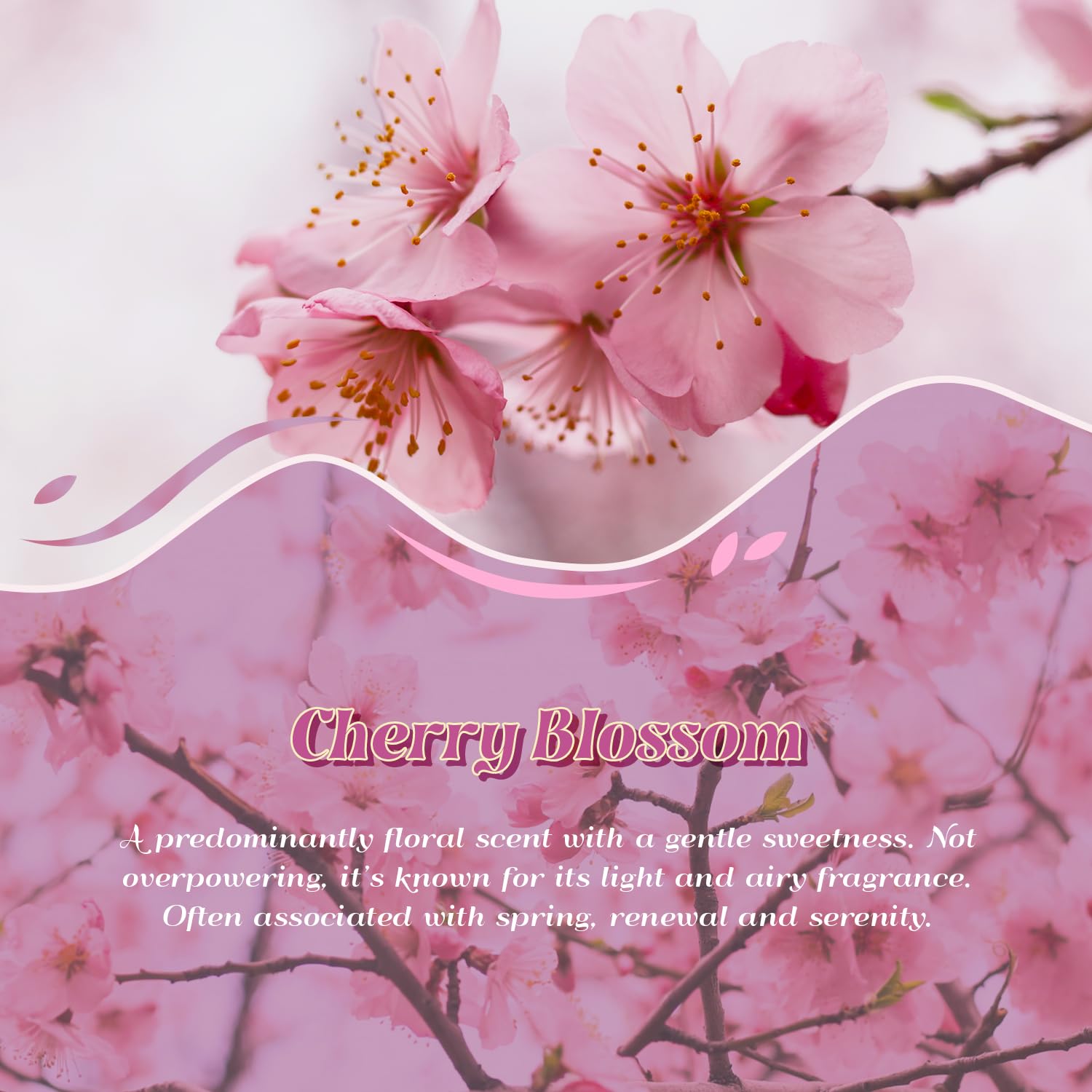 Bath time with ARVIDSSON Cherry Blossom oil drops for spa like unwind.