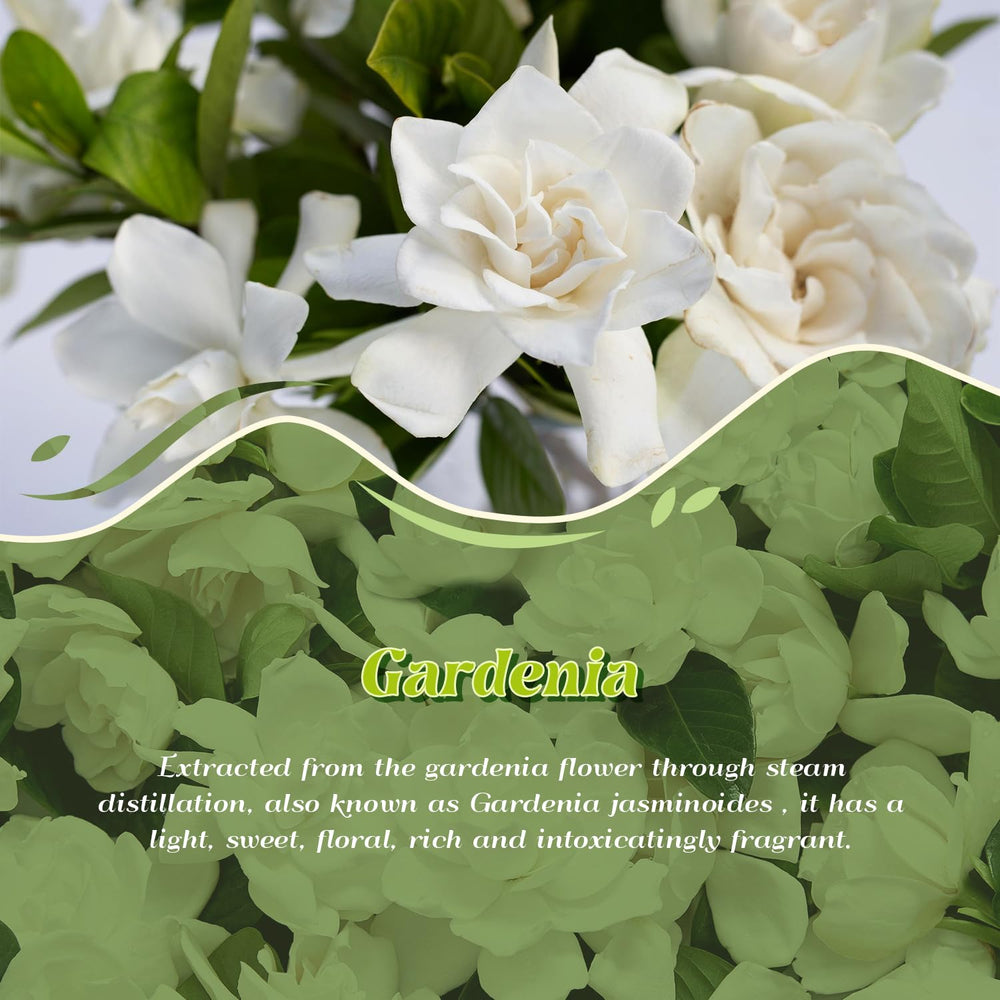 ARVIDSSON Gardenia room spray for quick, long lasting home freshening.