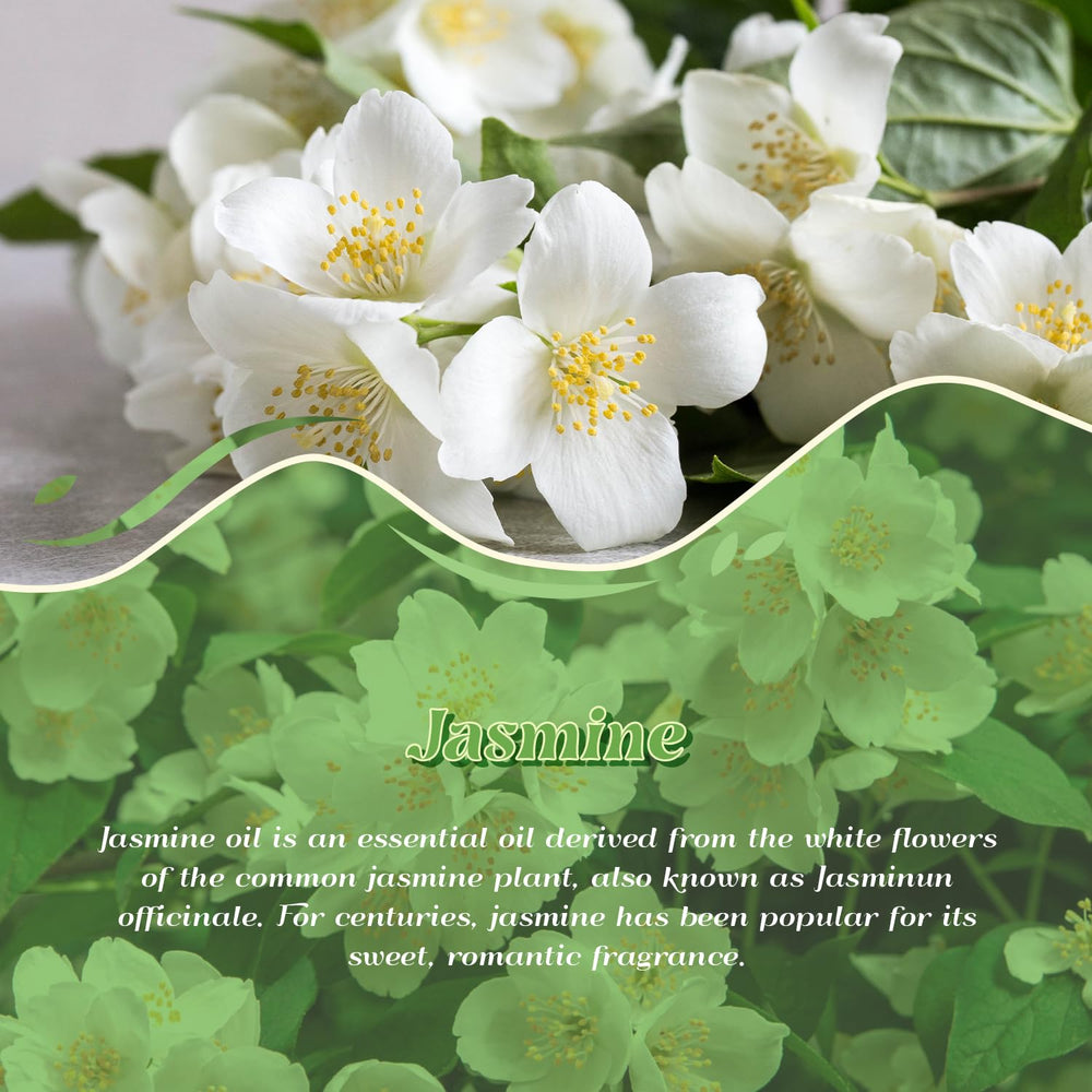 ARVIDSSON Jasmine flower closeup showcasing luxurious floral aroma.