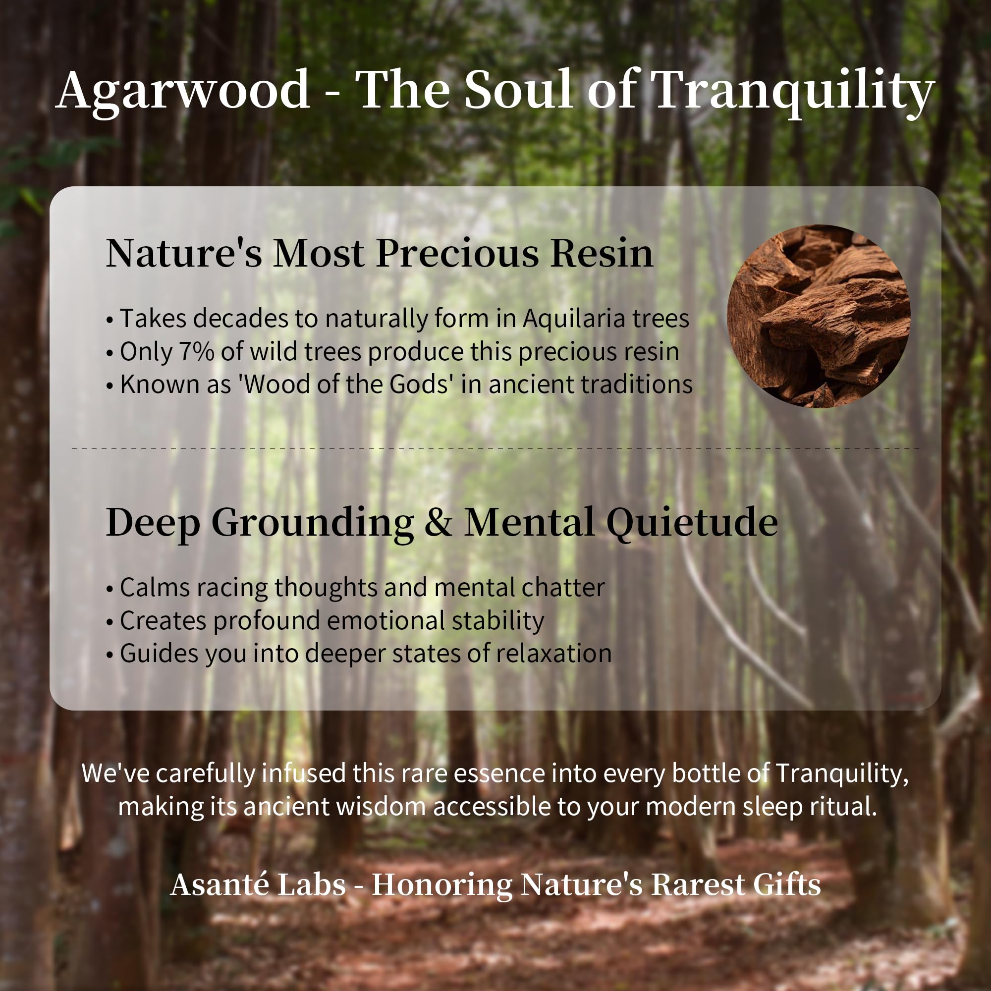 Asanté Labs Tranquility ingredients list emphasizes pure plant-based comfort.