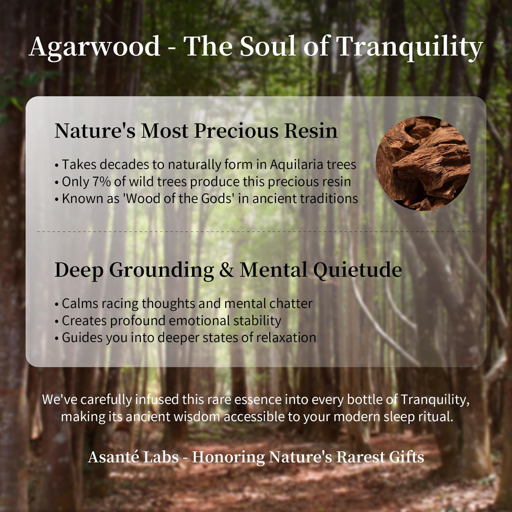Asanté Labs Tranquility ingredients list emphasizes pure plant-based comfort.