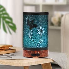 ASAWASA Multifunction diffuser with humidifier and night light supports well-being.
