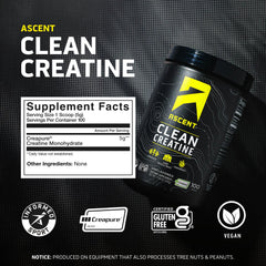 Ascent Clean Creatine powder being poured into a shaker for workouts